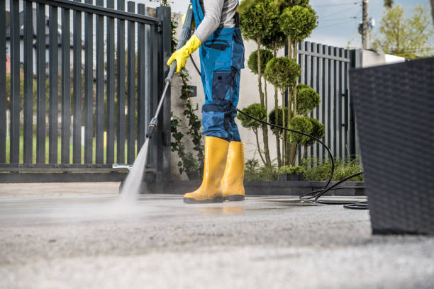 Professional Pressure Washing Services in Woodside East, DE